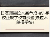日喀则聂拉木县单招培训学校正规学校有那些(聂拉木单招学校)
