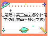 汕尾陆丰高三生去哪个补习学校(陆丰高三补习学校)