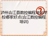 泸州合江县数控编程培训学校哪家好点(合江数控编程培训)