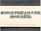 德州科技学院职业技术学院(德州科技职院)