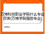 万博科技职业学院什么专业厉害(万博学院强势专业)