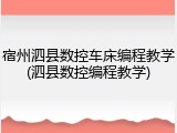 宿州泗县数控车床编程教学(泗县数控编程教学)