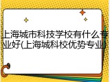 上海城市科技学校有什么专业好(上海城科校优势专业)