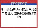 保山施甸县农业职高学校哪个专业好(施甸农职校好专业)