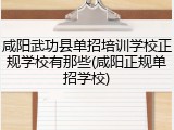 咸阳武功县单招培训学校正规学校有那些(咸阳正规单招学校)