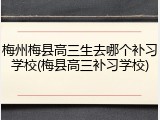 梅州梅县高三生去哪个补习学校(梅县高三补习学校)