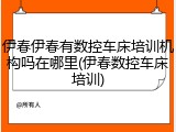 伊春伊春有数控车床培训机构吗在哪里(伊春数控车床培训)