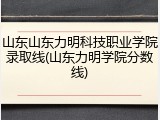山东山东力明科技职业学院录取线(山东力明学院分数线)