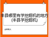 丰县哪里有学挖掘机的地方(丰县学挖掘机)