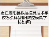宿迁泗阳县数控模具技术学校怎么样(泗阳数控模具学校如何)