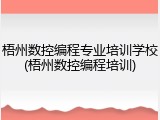 梧州数控编程专业培训学校(梧州数控编程培训)