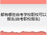都有哪些自考学校职校可以报名(自考职校报名)