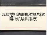 武陵挖机培训机构排名(武陵挖机培训排行)
