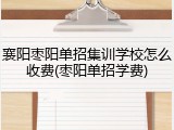 襄阳枣阳单招集训学校怎么收费(枣阳单招学费)
