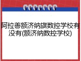 阿拉善额济纳旗数控学校有没有(额济纳数控学校)
