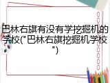 巴林右旗有没有学挖掘机的学校("巴林右旗挖掘机学校")