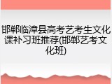 邯郸临漳县高考艺考生文化课补习班推荐(邯郸艺考文化班)