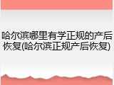 哈尔滨哪里有学正规的产后恢复(哈尔滨正规产后恢复)