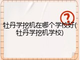 牡丹学挖机在哪个学校好(牡丹学挖机学校)