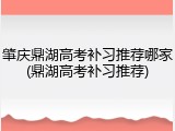 肇庆鼎湖高考补习推荐哪家(鼎湖高考补习推荐)