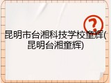 昆明市台湘科技学校童辉(昆明台湘童辉)