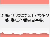 娄底产后康复培训学费多少钱(娄底产后康复学费)