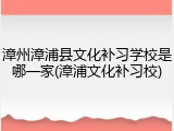 漳州漳浦县文化补习学校是哪一家(漳浦文化补习校)