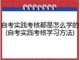 自考实践考核都是怎么学的(自考实践考核学习方法)