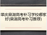 肇庆鼎湖高考补习学校哪家好(鼎湖高考补习推荐)