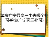 肇庆广宁县高三生去哪个补习学校(广宁高三补习)