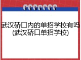 武汉硚口内的单招学校有吗(武汉硚口单招学校)