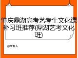 肇庆鼎湖高考艺考生文化课补习班推荐(鼎湖艺考文化班)