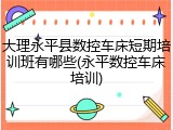 大理永平县数控车床短期培训班有哪些(永平数控车床培训)