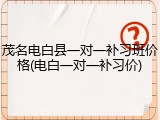 茂名电白县一对一补习班价格(电白一对一补习价)