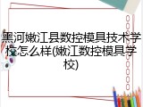 黑河嫩江县数控模具技术学校怎么样(嫩江数控模具学校)