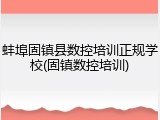 蚌埠固镇县数控培训正规学校(固镇数控培训)