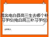 茂名电白县高三生去哪个补习学校(电白高三补习学校)