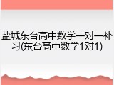盐城东台高中数学一对一补习(东台高中数学1对1)