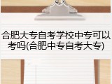 合肥大专自考学校中专可以考吗(合肥中专自考大专)