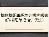榆林榆阳单招培训机构哪家好(榆阳单招培训优选)