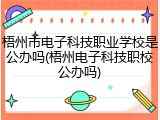 梧州市电子科技职业学校是公办吗(梧州电子科技职校公办吗)