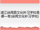 湛江徐闻县文化补习学校是哪一家(徐闻文化补习学校)