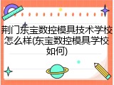 荆门东宝数控模具技术学校怎么样(东宝数控模具学校如何)
