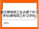 武汉蔡甸高三生去哪个补习学校(蔡甸高三补习学校)