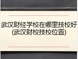武汉财经学校在哪里技校好(武汉财校技校位置)