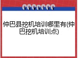 仲巴县挖机培训哪里有(仲巴挖机培训点)
