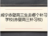 咸宁赤壁高三生去哪个补习学校(赤壁高三补习校)