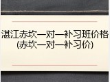 湛江赤坎一对一补习班价格(赤坎一对一补习价)