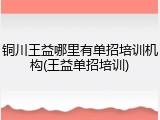 铜川王益哪里有单招培训机构(王益单招培训)