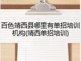 百色靖西县哪里有单招培训机构(靖西单招培训)